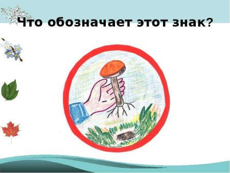 Экологический знак для грибов