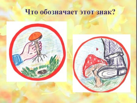 Книжка малышка грибы съедобные и несъедобные