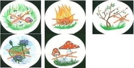 Условный знак лес природа