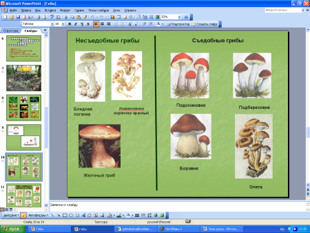 Рабочая тетрадь по окружающему миру царство грибов царство грибов