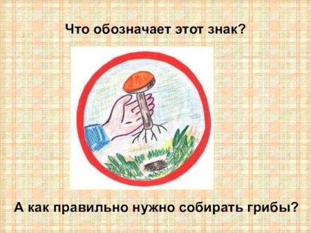 Экологический знак сбора грибов