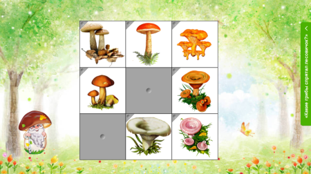 Бактерии грибы растения животные это царство