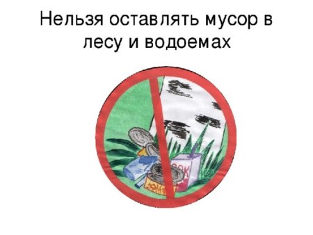 Рисунок на тему живые организмы