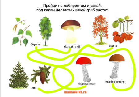Лесные опасности