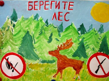 Рисунок берегите животных