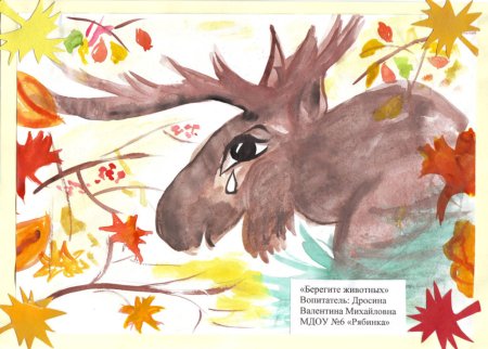 Детские рисунки берегите животных