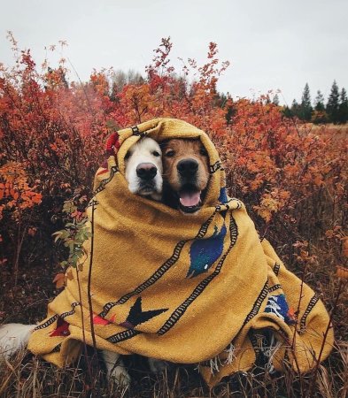 Одежда по сезонам для детей