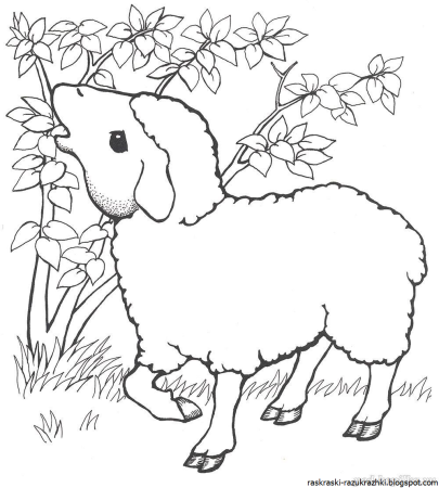 Раскраски домашних животных для детей