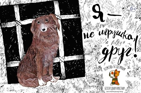 Плакат бездомные животные