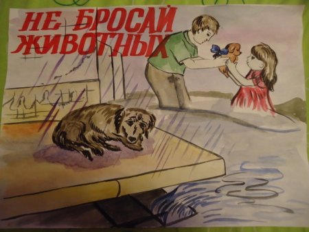 Плакат брошенные животные