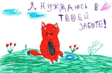Рисунки детей на тему бездомные животные