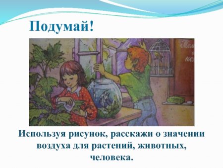 Значение воздуха для растений животных и человека