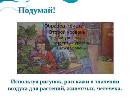 Значение воздуха для растений животных и человека