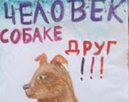 Плакат на тему бездомные животные