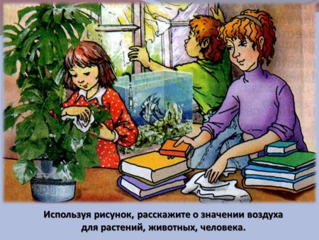 Какое значение имеет воздух для растений животных человека