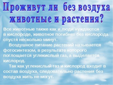 Значение воздуха для растений животных и человека