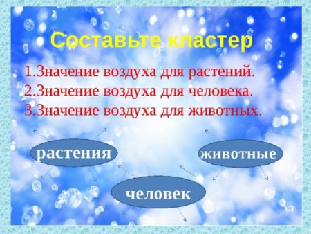 Воздух для человека и животных и растений