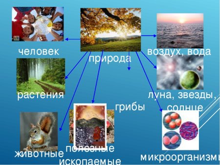 Значение воздуха для человека