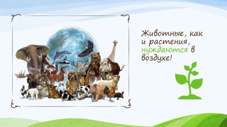 Роль воздуха в жизни животных