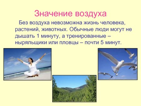 Значение воздуха для растений животных и человека