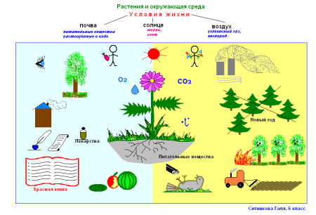 Презентация на тему воздух