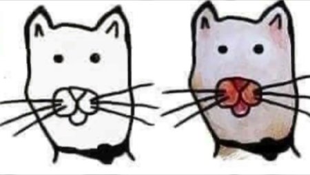 Рисование по ладошке