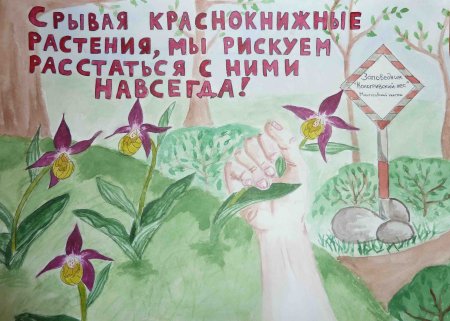 Плакат на тему защита животных и растений