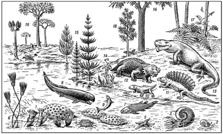 Поздний палеозой Девон карбон Пермь