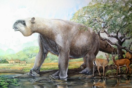 Гигантский Ленивец (Megatherium americanum)