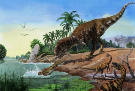 Majungasaurus crenatissimus