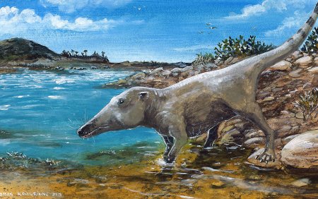 Предок кита пакицет