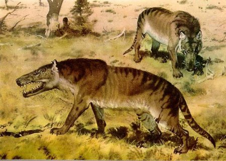 Креодонты Кайнозой