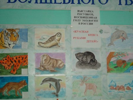 Животные красной книги России плакат