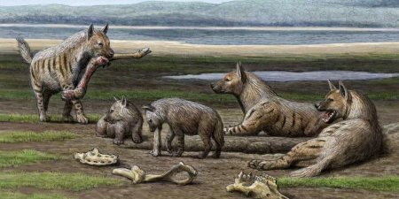 Гигантская Доисторическая гиена