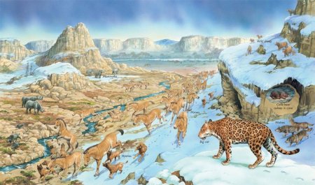 Кайнозой плейстоцен