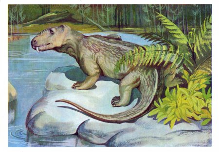 Первые рептилии терапсиды