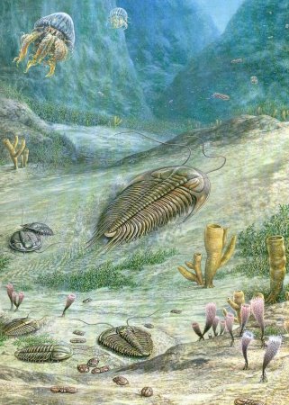 Палеозойская Эра Кембрийский период