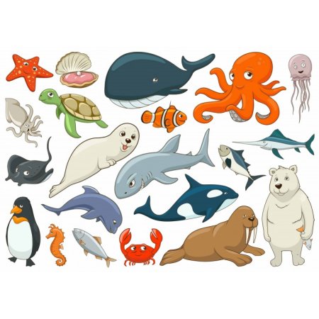 Жители моря для детей