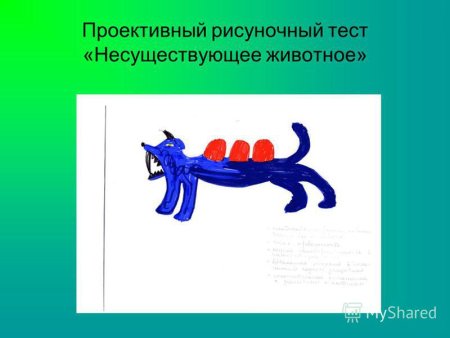 Психологический тест нарисовать несуществующее животное