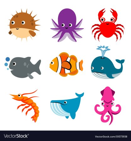 Раскраска морские обитатели