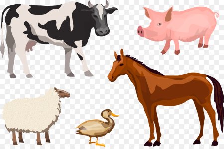 Векторные рисунки домашних животных