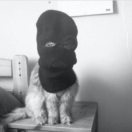 Дашаев Магомед