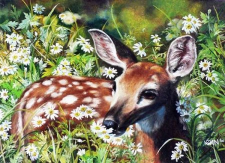 Заповедник рисунок