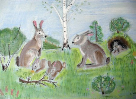 Мир заповедной природы конкурс