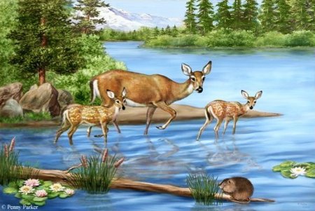 Рисунок на тему животные