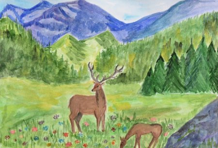 Мир животных