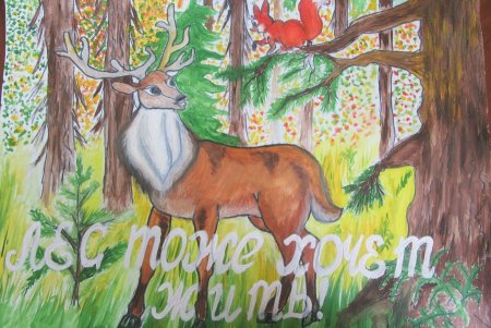 Природа Сибири рисунок