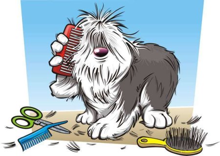 Грумер иллюстрация