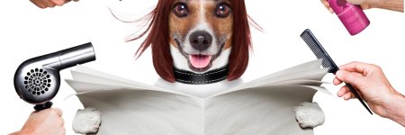 Грумер реклама