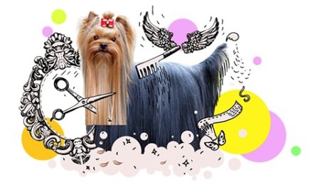 Картина для зоосалона